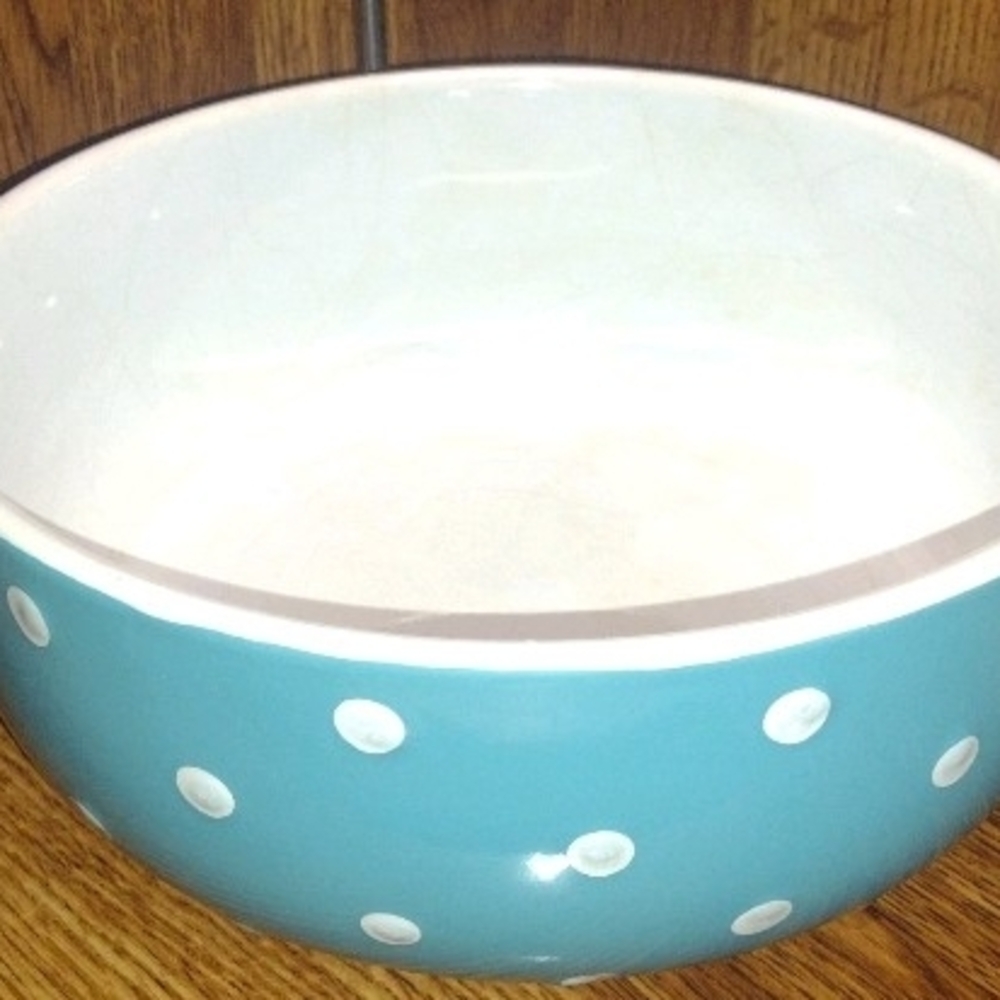 Blue Polka Dot Bowl